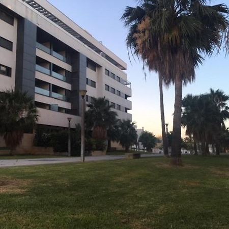 Gatu Premium El Vinedo, Centro, Parking, Aire Acc, Terraza Y Piscina Comun," Preferente Mayores De 25 Anos Y Familias " El Puerto de Santa María Eksteriør billede